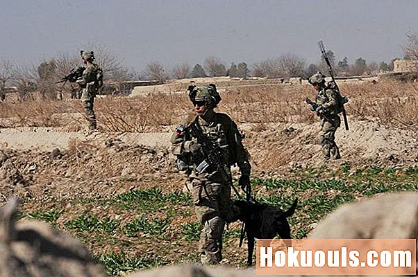 Paglalarawan ng Army Army: 31K Military Working Dog Handler