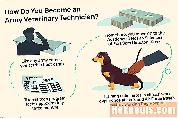 Профил на кариера: американски армейски ветеринарен техник