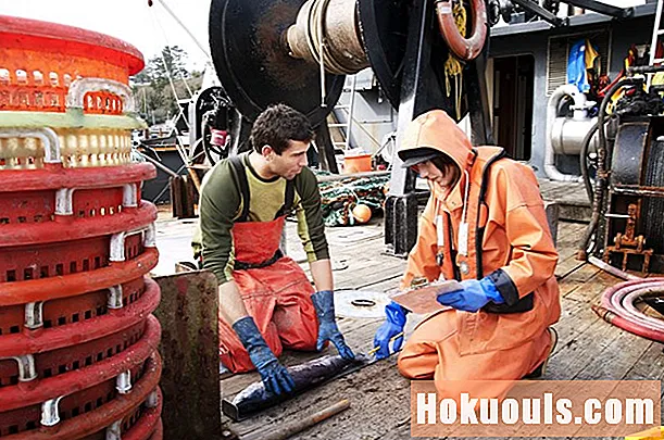 ماهیگیر تجاری: شرح شغل