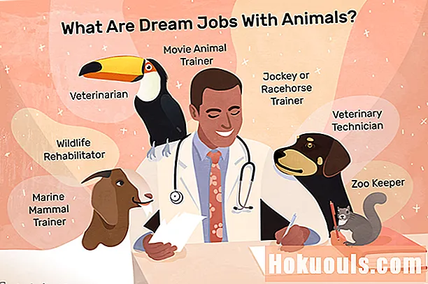Nájdite si prácu, ktorá pracuje so zvieratami