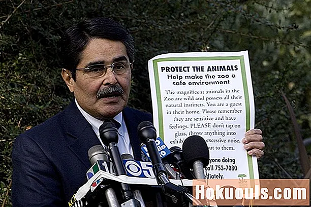 Kumuha ng Impormasyon sa Karera sa Pagiging isang Direktor ng Zoo