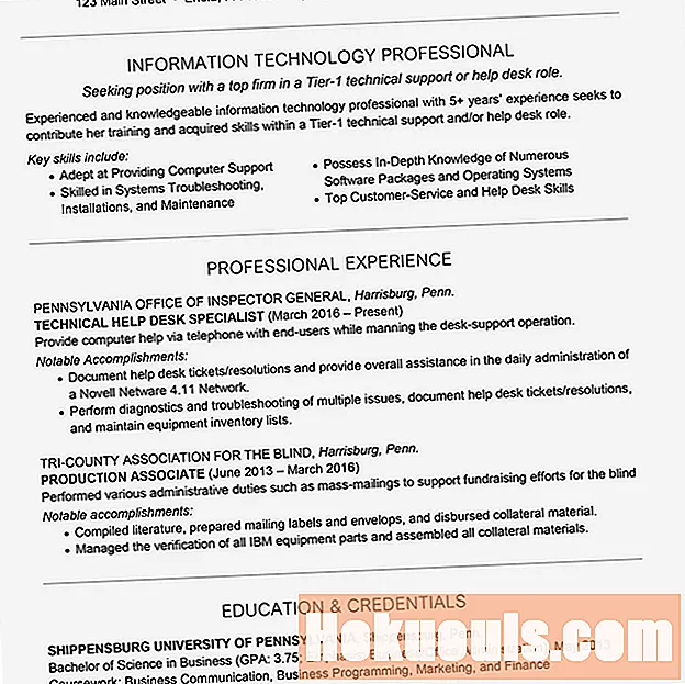 Exemple de CV de technicien informatique avec déclaration sommaire