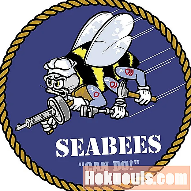 คำบรรยายลักษณะงานสำหรับกองกำลังก่อสร้างกองทัพเรือ - Seabee