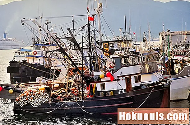 Scopri tutto sui lavori di pesca in Alaska