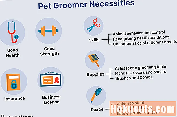 შეიტყვეთ, თუ როგორ უნდა გახდეთ Pet Groomer