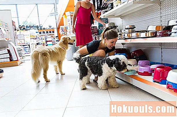 पालतू जानवरों की दुकानों के लिए विपणन रणनीति