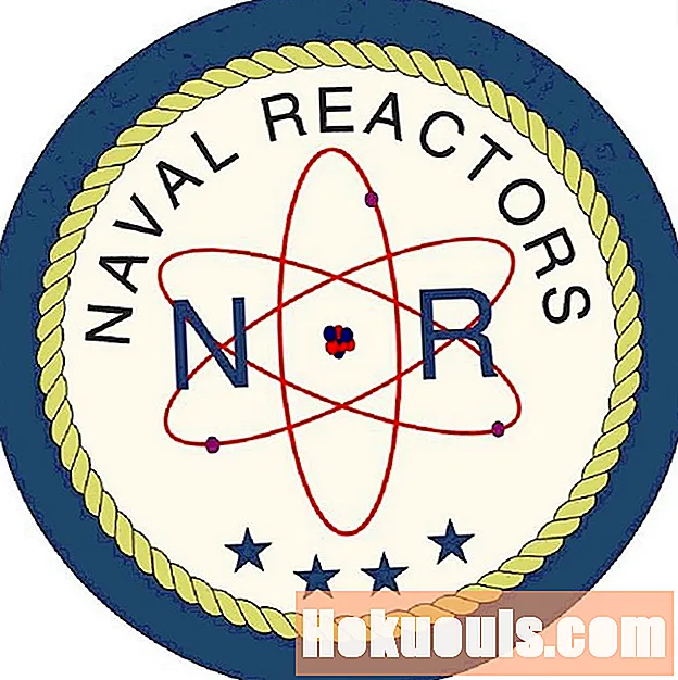 Navy Commissioned Officer Popis práce - NR