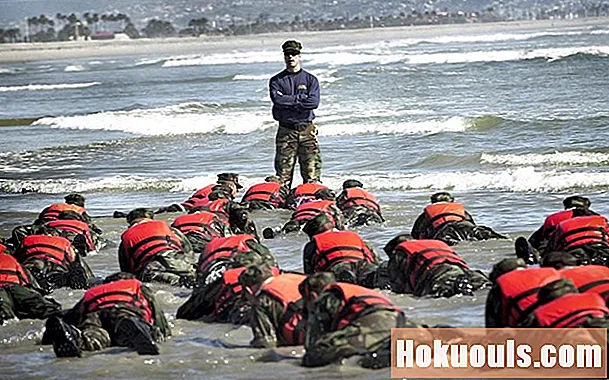 Laivyno SEAL mokymai