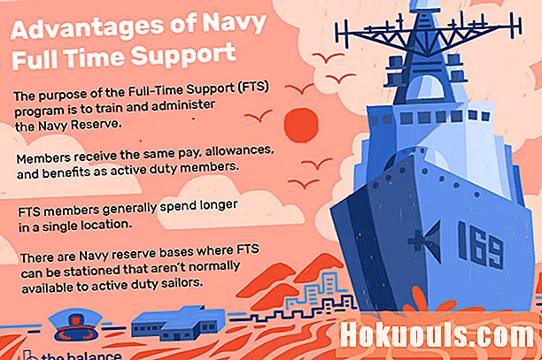 De Navy Vollzäit Support (FTS) Programm