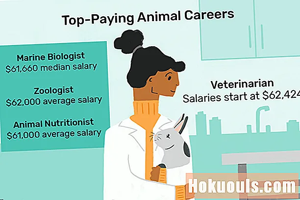 給料の高い動物のキャリア