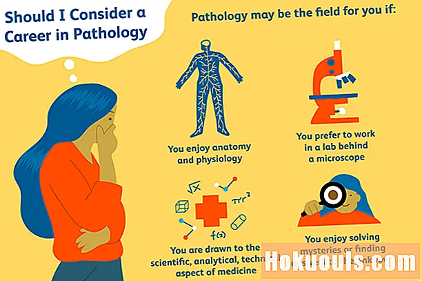 A patológiában elérhető karriertípusok