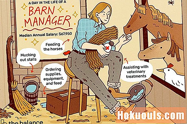 Wat doet een stalmanager?