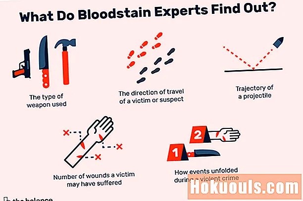ماذا يفعل محلل نمط بقع الدم؟