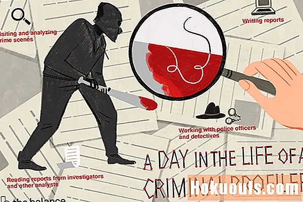 범죄자 프로필러는 무엇을합니까?