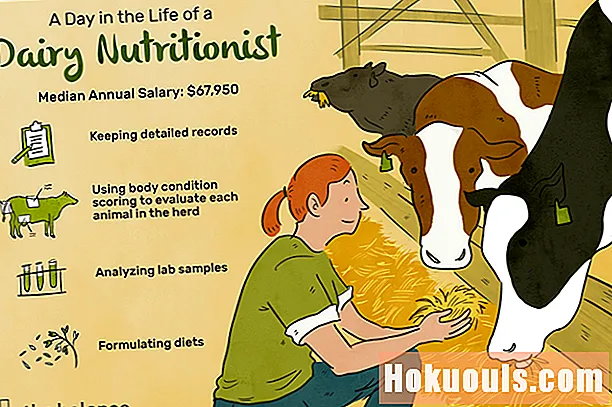 Hvad gør en mejeri-ernæringsfysiolog?