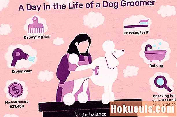 Mitä koiran groomer tekee?
