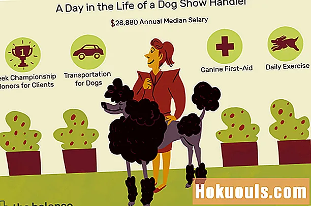 कुत्रा शो हँडलर काय करतो?