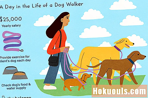 Ko dara suņu staigātājs?