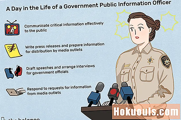Шта ради владин службеник за јавно информисање?