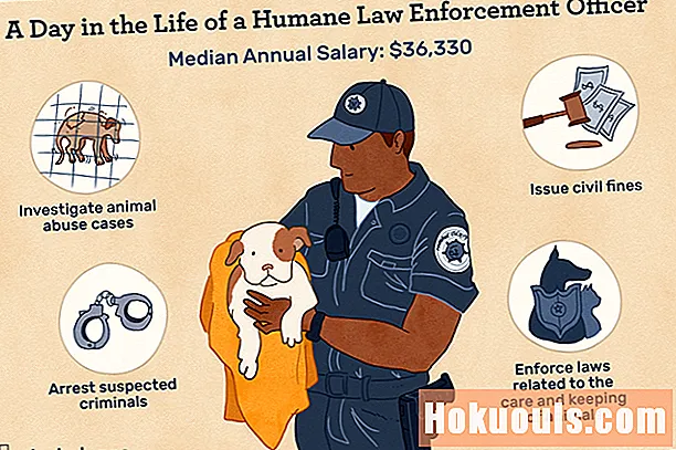 Ką veikia humaniškas teisėsaugos pareigūnas (HLEO)?