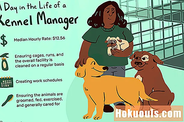 Ի՞նչ է անում Kennel Manager- ը: