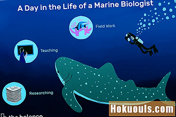एक समुद्री जीवविज्ञानी क्या करता है?