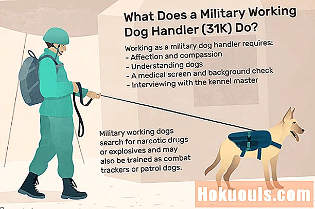 Doesfarë bën një mbajtës i qenve ushtarakë (31K)?