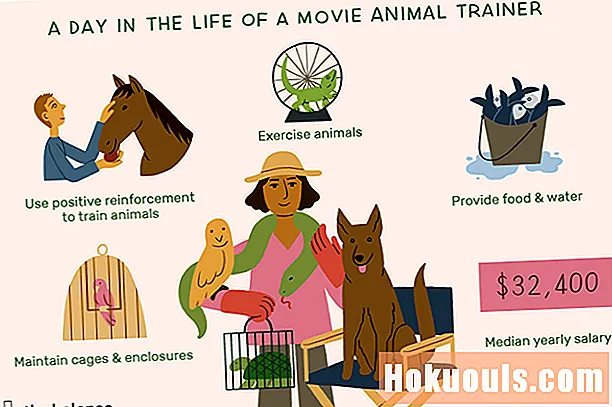 Co dělá Movie Animal Trainer?