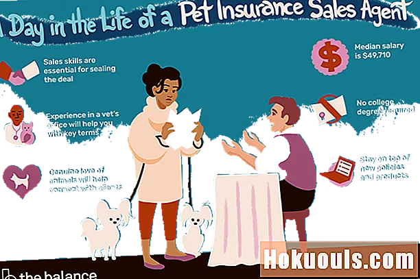 Co robi agent sprzedaży ubezpieczenia dla zwierząt domowych?