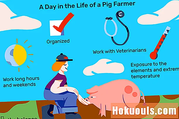 Шта ради фармер свиња?