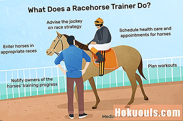 Kaj počne trener dirkaškega konja?