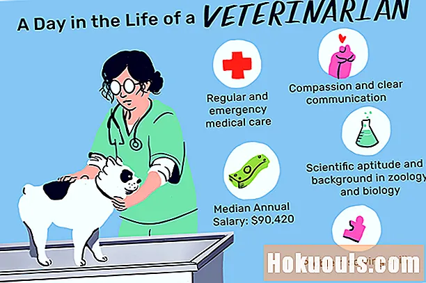 Co dělá veterinář (veterinář)?
