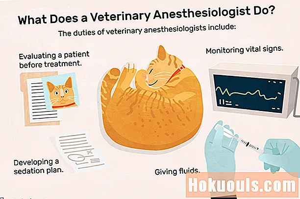 Co dělá veterinární anesteziolog?