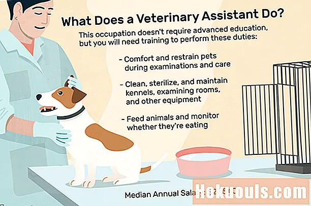 Ką veikia veterinarijos padėjėjas?