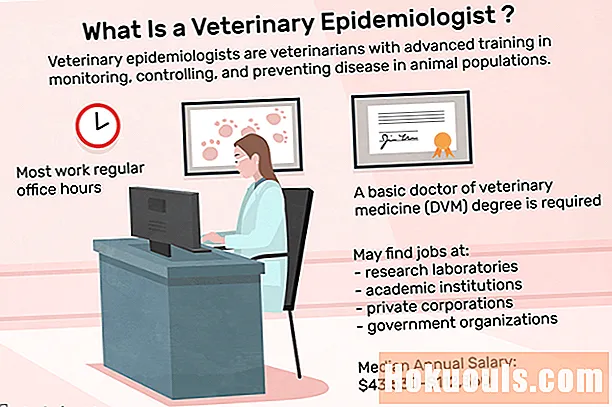 ¿Qué hace un epidemiólogo veterinario?