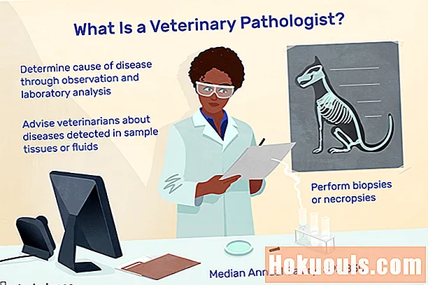 Que fait un pathologiste vétérinaire?
