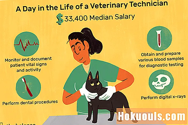 Doesfarë bën një teknik veterinar?