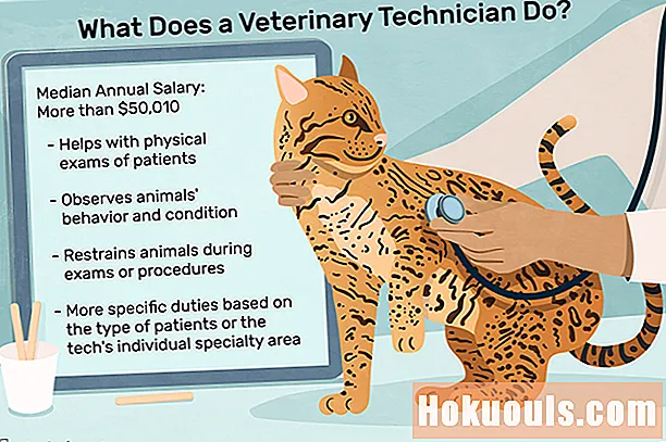 Ce face un tehnician veterinar?