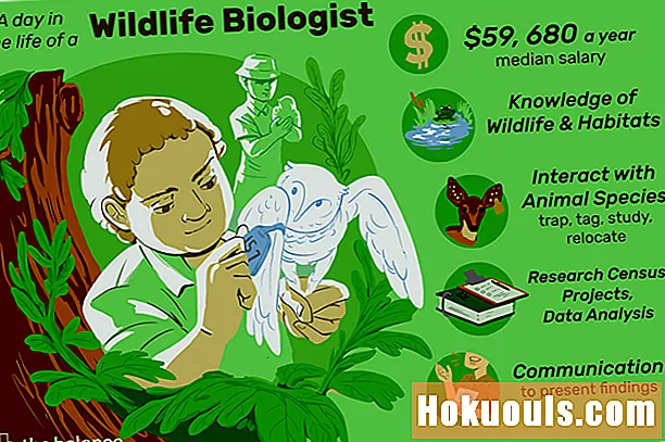 ایک جنگلی حیات حیاتیات کیا کرتا ہے؟