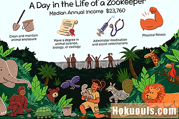 Doesfarë bën një zookeeper?