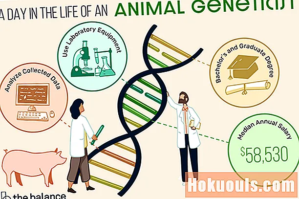 Apa yang Dilakukan oleh Ahli Genetik Haiwan?