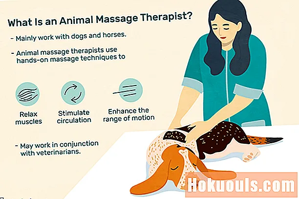 ¿Qué hace un terapeuta de masaje animal?