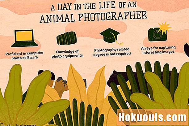 جانوروں کا فوٹو گرافر کیا کرتا ہے؟