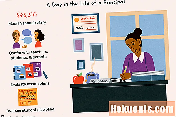 ¿Qué hace un director de primaria, secundaria o preparatoria?