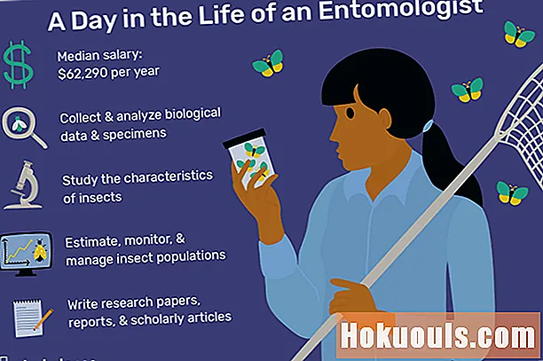 Какво прави ентомологът?