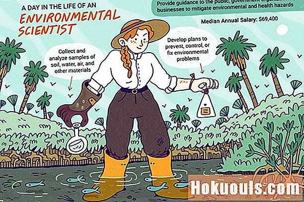 Τι κάνει ένας περιβαλλοντικός επιστήμονας;