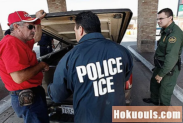 Cosa fa un agente ICE?