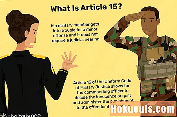 Què és un article 15?